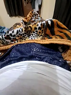 villagb12 online show from 12-25-24, 07:24