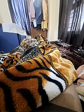 villagb12 online show from 02-14-25, 04:15