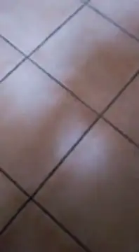 Snapshot of ZorraidaGiroNina chatting on 02-03-25, 04:10 ZorraidaGiroNina online show from 02-03-25, 04:10