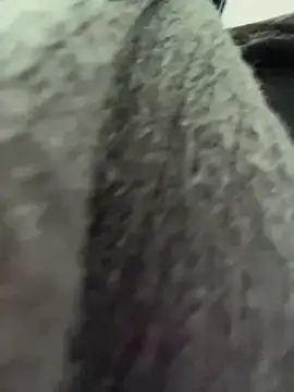 RinaCat online show from 01-06-25, 05:30