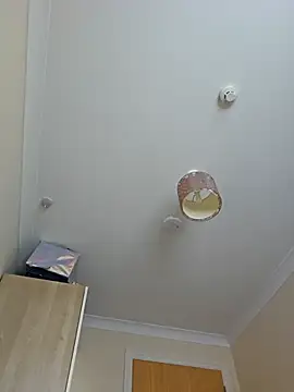 meateater1 online show from 11-01-25, 10:39