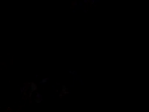 Skinnynerd online show from 01-09-26, 07:59