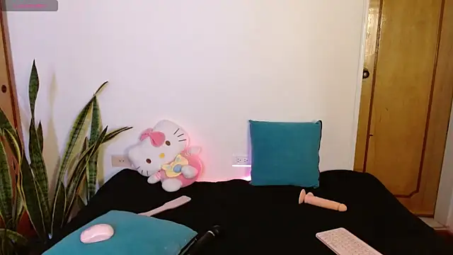 Snapshot of kittycatw chatting on 12-17-25, 09:21 kittycatw online show from 12-17-25, 09:21