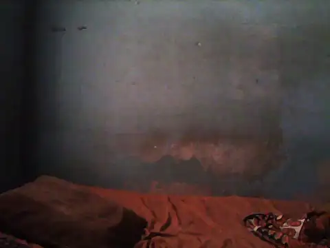 little  joy online show from 11-05-25, 01:44