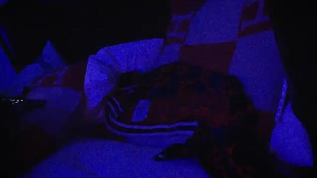 Snapshot of YouLikeBigDick9 chatting on 03-07-25, 07:41 YouLikeBigDick9 online show from 03-07-25, 07:41