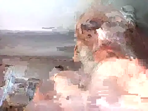 Xoc8  online show from 02-26-26, 10:36