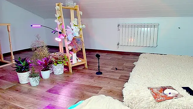 Snapshot of Meowroslava chatting on 11-07-25, 09:31 Meowroslava online show from 11-07-25, 09:31