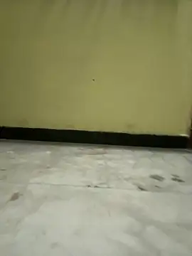 boypussyfist online show from 02-15-25, 06:33