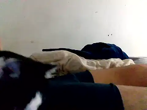 yass56789 online show from 11-15-25, 11:54