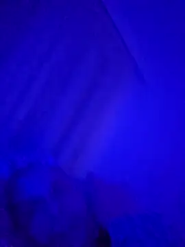 Snapshot of denisxlRo chatting on 03-16-25, 08:11 denisxlRo online show from 03-16-25, 08:11