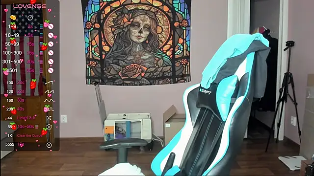 Project hisoka online show from 04-27-26, 03:15