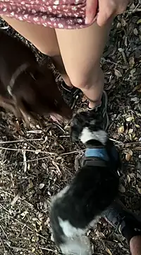 Reinacatchile online show from 02-06-25, 11:58