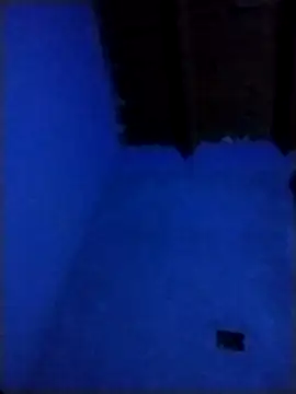 pmalvado912 online show from 03-28-26, 05:07