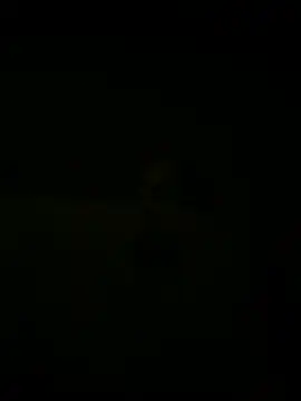 nowex18 online show from 03-18-25, 05:41