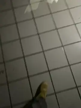 nowex18 online show from 02-20-26, 04:53