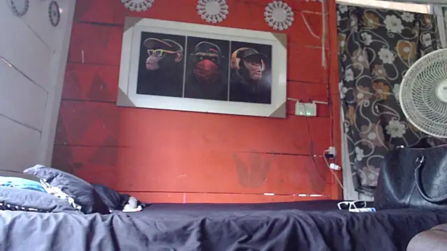 gavi 19cm online show from 12-21-24, 08:00