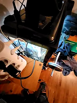 0815lukas2024 online show from 12-02-24, 08:22