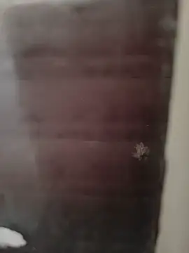 Snapshot of hardgetsex chatting on 09-29-25, 09:08 hardgetsex online show from 09-29-25, 09:08