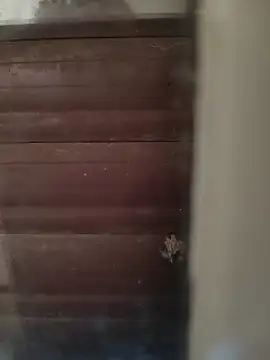 Snapshot of hardgetsex chatting on 10-04-25, 04:05 hardgetsex online show from 10-04-25, 04:05