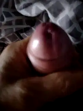 Snapshot of Singlepennis chatting on 09-22-25, 04:14 Singlepennis online show from 09-22-25, 04:14