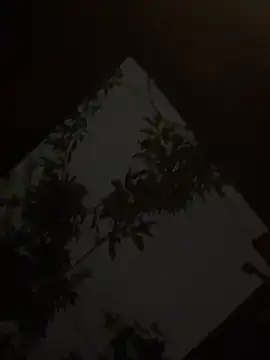 Snapshot of holyeroticss chatting on 09-25-25, 01:31 holyeroticss online show from 09-25-25, 01:31