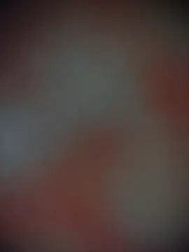 Bengoli--bhabhi online show from 11-22-25, 12:37