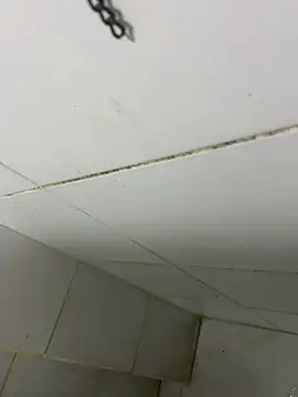 thfrances online show from 02-27-26, 03:39