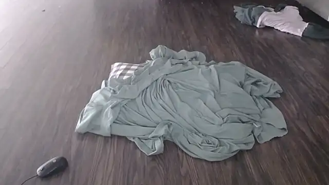 steelwood303 online show from 02-07-26, 07:50