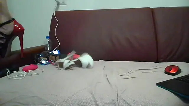 Snapshot of Danielasexy74 chatting on 11-14-25, 04:38 Danielasexy74 online show from 11-14-25, 04:38