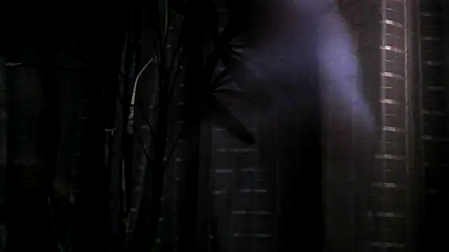 Snapshot of funguybr36 chatting on 09-19-25, 11:00 funguybr36 online show from 09-19-25, 11:00