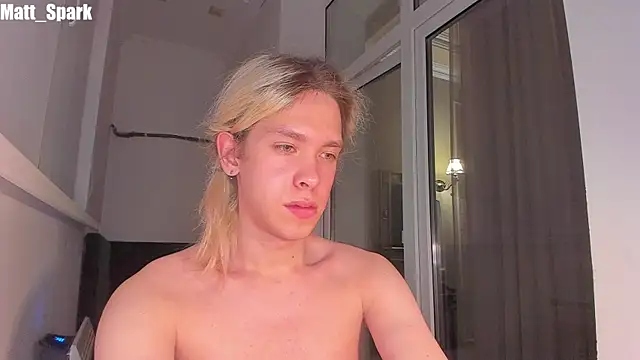 Snapshot of matt_spark chatting on 03-13-25, 05:28 matt spark online show from 03-13-25, 05:28