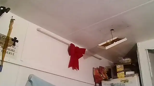 allissonw13 online show from 01-25-25, 04:23