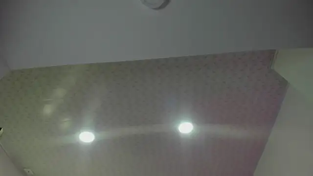 cute hollywood online show from 04-24-26, 08:06