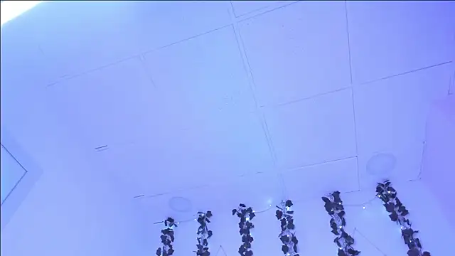 SophieHill gh online show from 01-16-25, 01:27