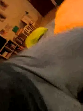 Snapshot of onbifeet chatting on 10-09-25, 06:17 onbifeet online show from 10-09-25, 06:17