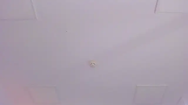 JassyeJoy online show from 01-07-26, 05:21