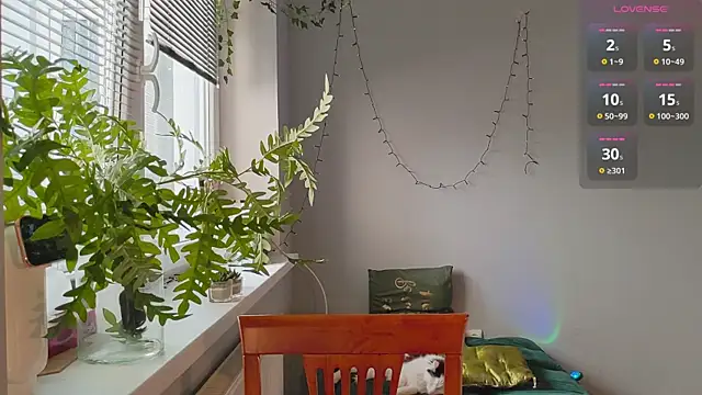 monlight  dana online show from 01-27-25, 11:54