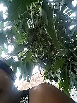 Snapshot of Berry_Bans chatting on 03-13-25, 08:32 Berry Bans online show from 03-13-25, 08:32