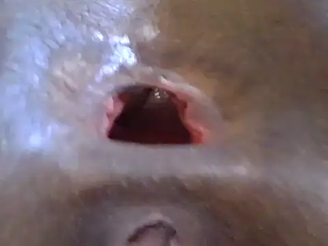 petitev online show from 12-17-24, 12:33