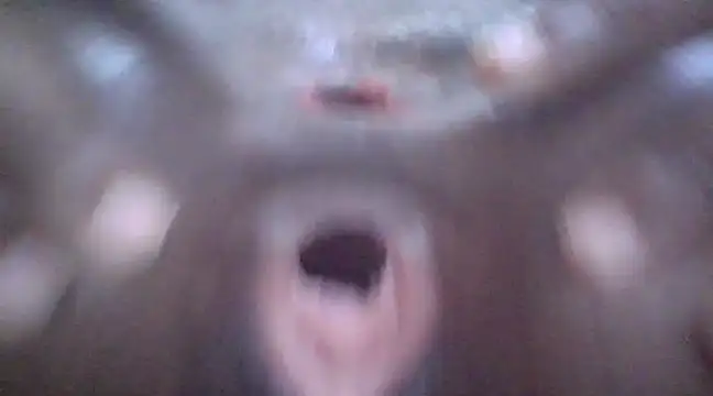 petitev online show from 01-03-25, 04:11