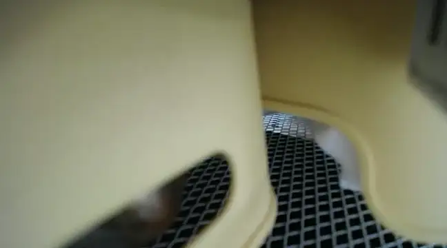 Lovensetest online show from 01-15-25, 06:54