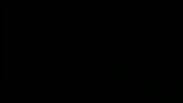 SensualJane2 online show from 01-05-25, 06:13