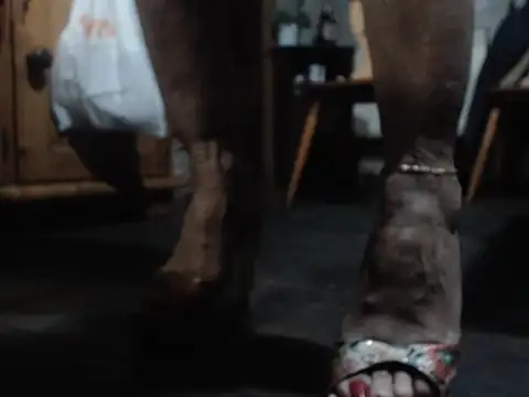 eva2023sexy online show from 02-05-26, 09:08