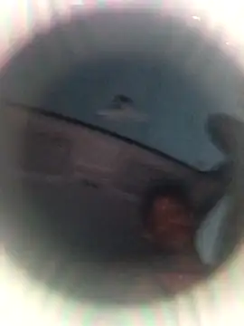 Snapshot of Ursonego chatting on 10-03-25, 10:07 Ursonego online show from 10-03-25, 10:07