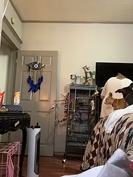 Snapshot of lezbean24 chatting on 03-11-26, 05:41 lezbean24 online show from 03-11-26, 05:41