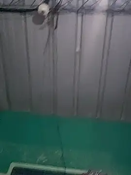 Cris29 84 online show from 02-24-26, 08:23