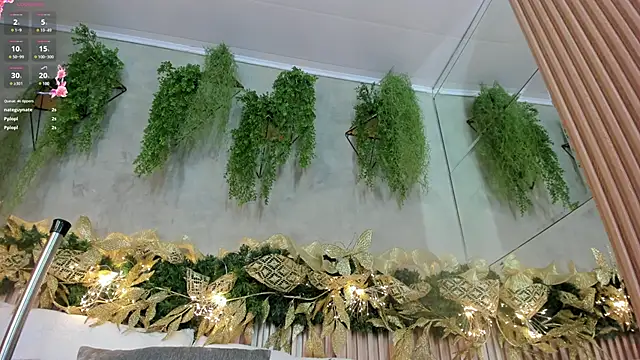 Lana Lann online show from 12-28-24, 03:48