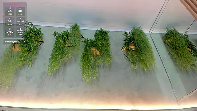 Lana Lann online show from 09-22-25, 11:56