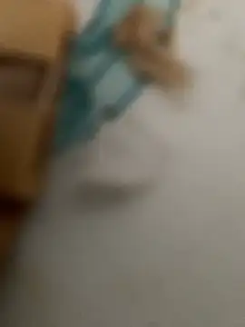 funpharoh1 online show from 05-25-26, 05:52