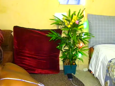 Naughtygal98 online show from 07-07-26, 06:27